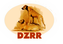 Deutsche Züchergemeinschaft Rhodesian Ridgeback